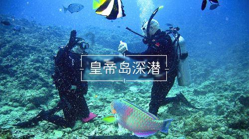 深入解读是不是武功就要找出破绽?的知识星球,探索未知领域